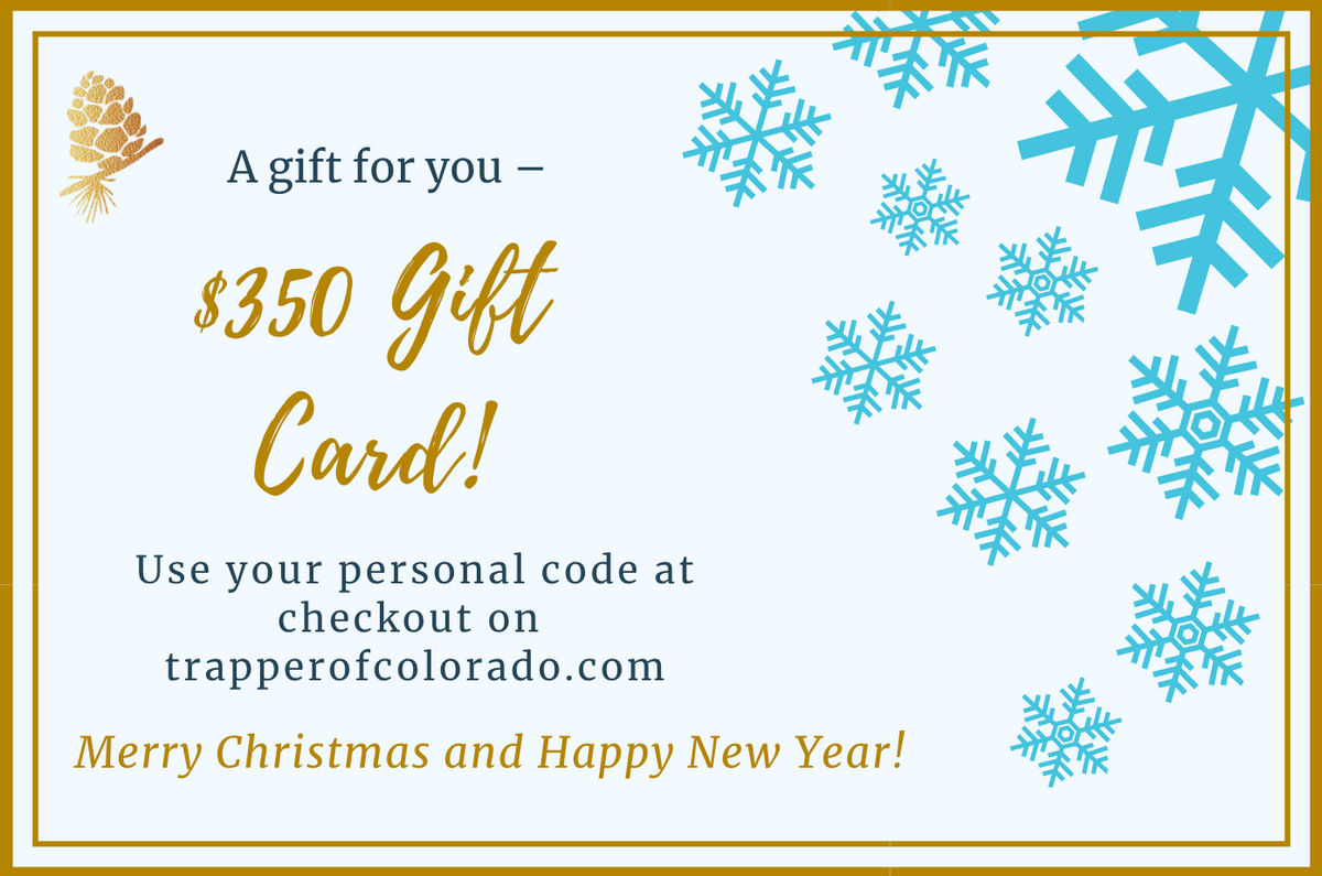 Christmas E-Gift Cards