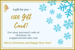 Christmas E-Gift Cards